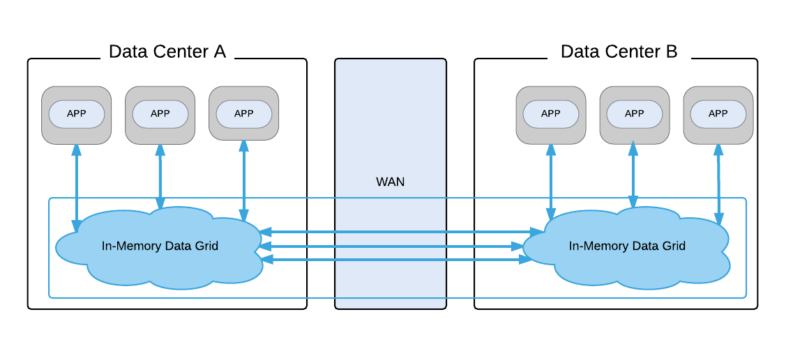 Shared In-Memory Data Grid